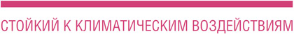 Принт REHAU